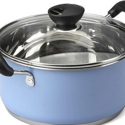 標(biāo)星廚具 匠心品質(zhì)，加盟共贏(yíng)——打造廚具衛(wèi)具新體驗(yàn)