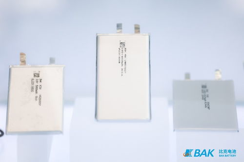 比克電池強勢登陸CIBF 2023 四大產品線聯袂登場，彰顯技術領導力